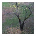 Autunno Autunno