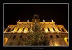 Natale a Palazzo Moroni, Padova