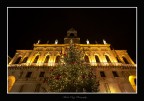 Natale a Palazzo Moroni, Padova Natale a Palazzo Moroni, Padova