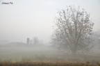Domenica mattina, ore 8.03... Domenica mattina, ore 8.03...