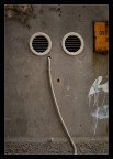 ElephantMan ElephantMan