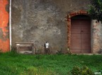 L'imperatore L'imperatore