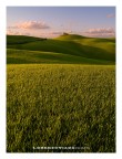 toscana toscana