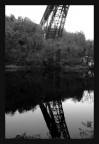 riflessi riflessi