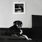 autoreferenziale autoreferenziale