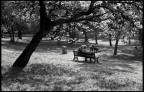 Villa Borghese Villa Borghese
