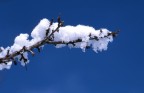 Sapevo che non lontano da casa, poco sopra gli 800 metri, aveva nevicato da poco. Sono rimasto affascinato dalla neve fresca posata sui rami degli alberi. Questo particolare l'ho ripreso con ottica 105mm, l'uso del polarizzatore e ripresa con diapositiva 100 iso.