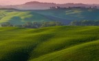 Colline Senesi