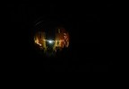 Artificial Moon