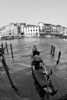 Venezia Venezia