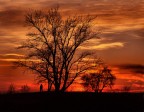 tramonto al Parco Nord tramonto al Parco Nord