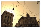 Giungla di città Giungla di città