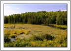 Natura Canadese Natura Canadese