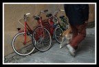 passeggiando senza fretta passeggiando senza fretta