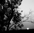 Sun on the soft Sun on the soft