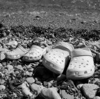 inseparables inseparables