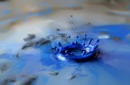 Goccia blu Goccia blu