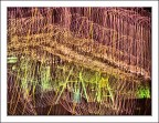 fontane di luce fontane di luce