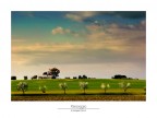 Paesaggio Paesaggio