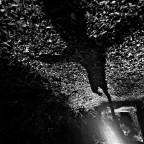 The Girl Who Loved Tom Gordon The Girl Who Loved Tom Gordon