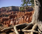 Bryce Canyon Bryce Canyon