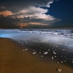 vento di terre lontane vento di terre lontane