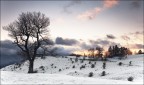 Luci d'Inverno