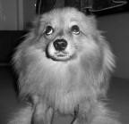 non è colpa mia.... non è colpa mia....