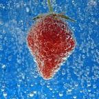 Fragola... Fragola...