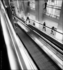 people walking people walking