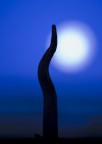 La luna oltre il cortile La luna oltre il cortile