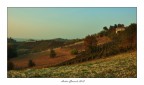 Scosceso, di vigne festito Scosceso, di vigne festito