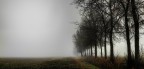 Come soldati nella nebbia Come soldati nella nebbia