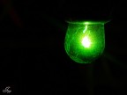Christmas Light. (: