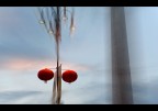China light China light