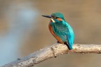 Questa immagine la dedico a safin...lui sa perch :)
Nikon D300s,Nikon AF-S 70-300mm f/4.5-5.6 G ED VR, mano libera, f5,6,1/320s,iso200