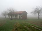 Nebbia