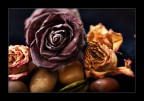 Tilt and shift DIY