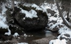 Nel bosco a Canazzei Nel bosco a Canazzei