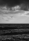 volare via ...