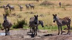 Tanzania 18 Tanzania 18