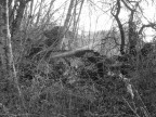 Rovine
