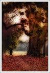 al parco