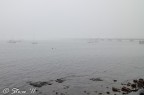 Il ponte e le barche Il ponte e le barche