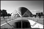 Valencia #7 Valencia #7