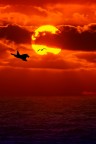 tramonto con incontro tramonto con incontro