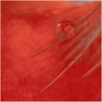 nel rosso.. nel rosso..