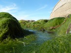 colline marine