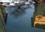 Riflessi