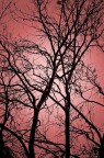 la luce rossa